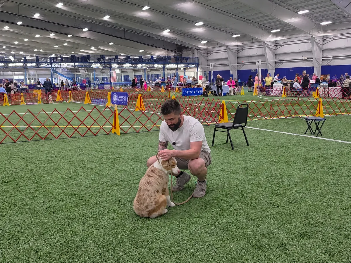 Puppy Training